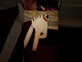 I love my dragons but... Some of them... #dragonpuppets #dragon #puppet