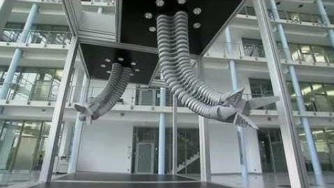 Robotic elephant trunk Video Reuters