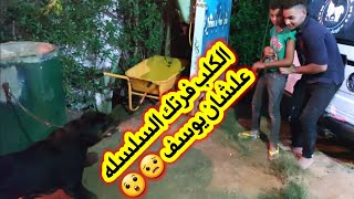 عملنا تجربه وقولنا محمد هيخطف يوسف / علشان نشوف كلب التبنى الرووت 