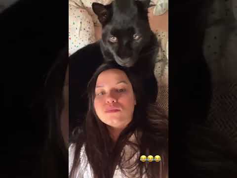 😻Обнимашки с пантерой Луной - luna_the_pantera@instagram