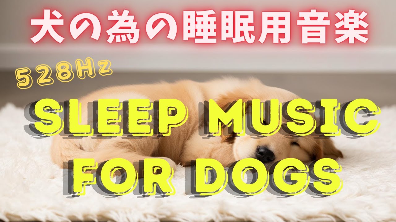 「犬の為の睡眠用音楽」528ヘルツ - YouTube