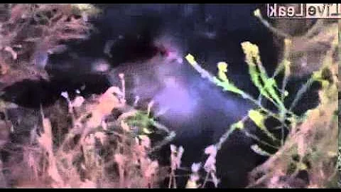 Wild  Boar Charges Hunter **Warning: graphic**