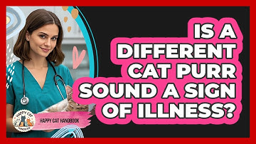 Is A Different Cat Purr Sound A Sign Of Illness? - Happy Cat Handbook