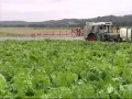 Los agricultores suizos dan vida al campo