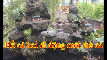 Hồ cá koi di động kết hợp non bộ thác nước và mô hình mới thả cá
