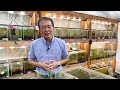 国立科学博物館 植物研究部 田中法生 インタビュー（2023年度クラウドファンディング「科博コレクション図鑑」特典動画）