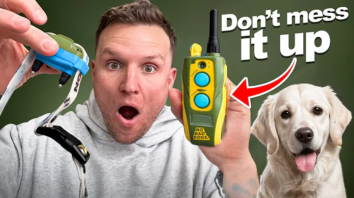 E Collar Training Steps For Beginners!