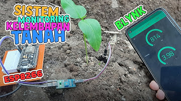 Membuat alat monitoring kelembaban tanah blynk | Project ESP8266 | Project NodeMCU | Project IoT