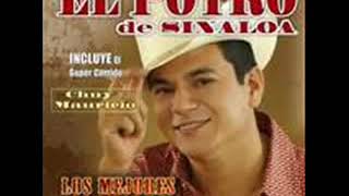 EL POTRO DE SINALOA -- EL VASO DERRAMA