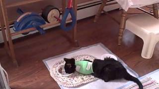 VID00062.AVI