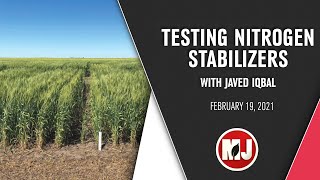 Testing Nitrogen Stabilizers | Javed Iqbal | February 19, 2021