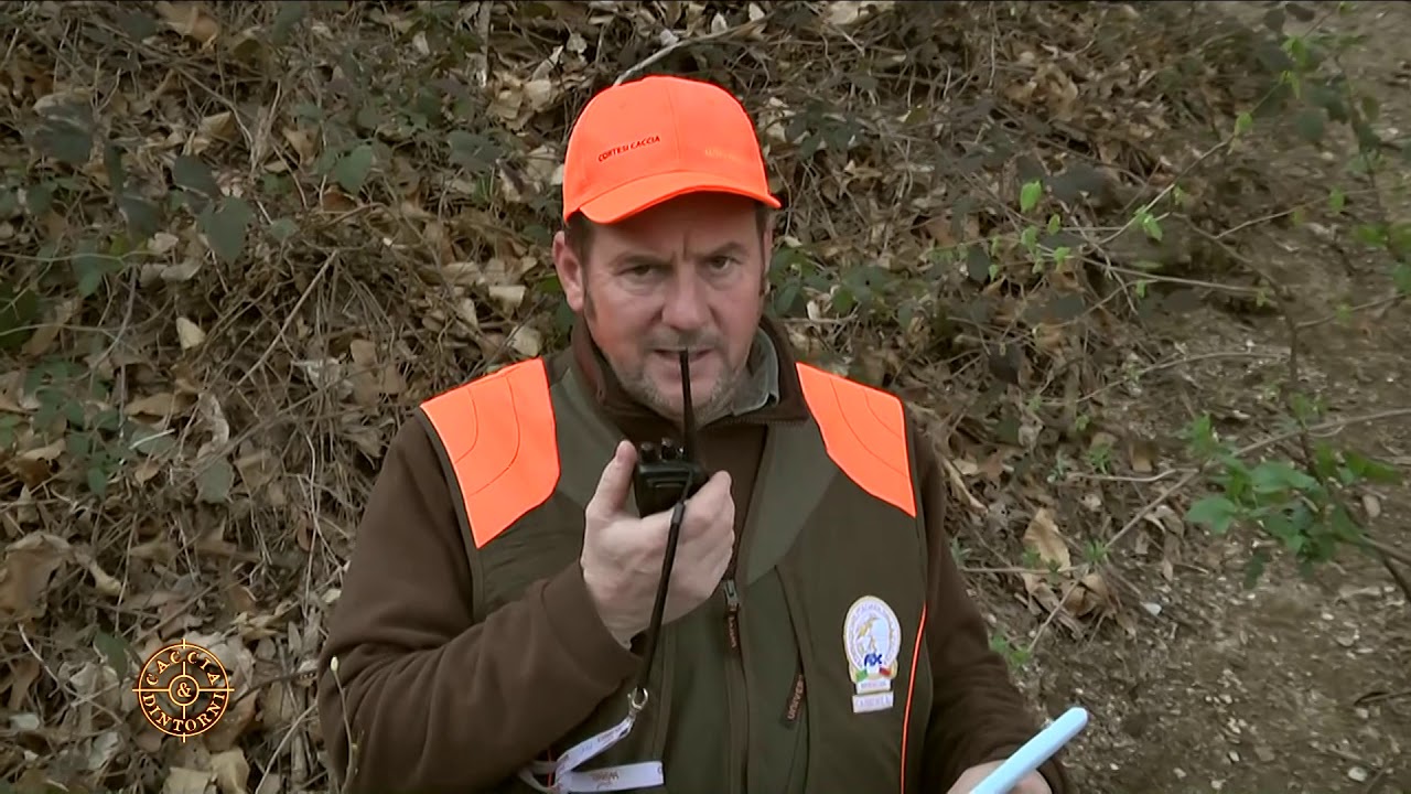 Prova su cinghiale 15° Campionato  Provinciale  FIDC Brescia