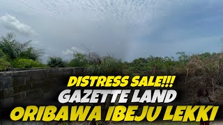 Distress Sale Land at Oribanwa Ibeju-Lekki Lagos With Gazette +2347058997755 by REALTOR COLLINS 123 views 3 weeks ago 6 minutes, 42 seconds