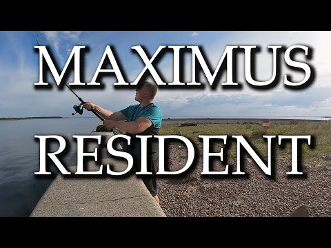 НОВЫЙ СПИННИНГ MAXIMUS