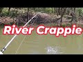 St. Francis River Crappie