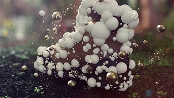 Nature Morph Animation Clip on Vimeo