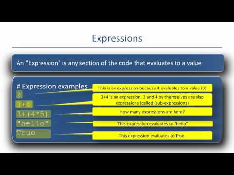 statements assignments and expressions