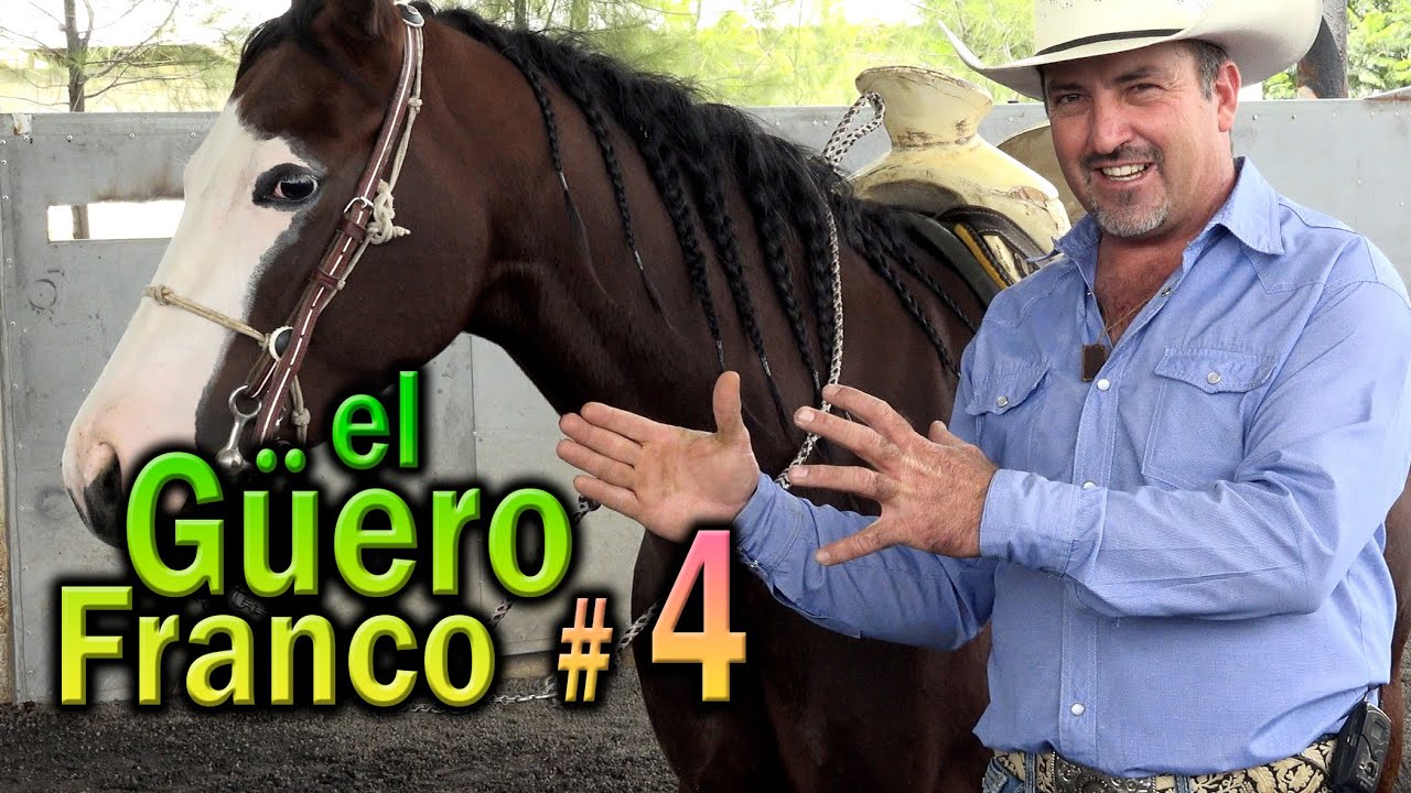 Preparando los Caballos para una Competencia - Aprender a Relajar al termino del entrenamiento