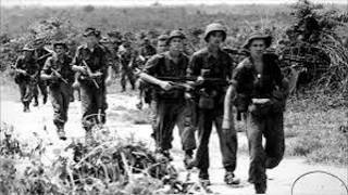 When MACV-SOG Laughed at Australian SAS's Tiny Patrols—Until They Came Back With Double Their Kills