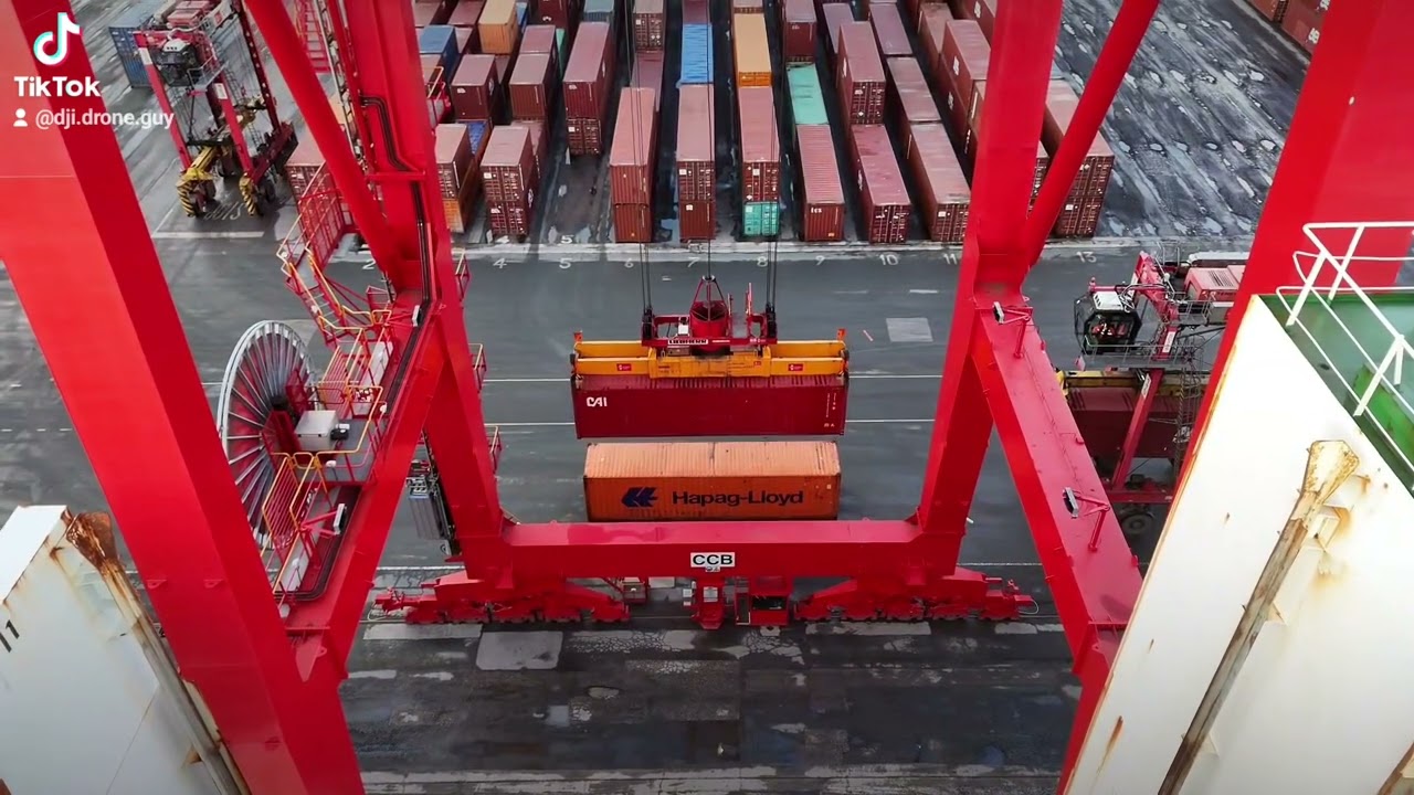 ACL Cargo Ship loading and unloading in Seaforth container base