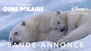 Bande annonce Ours polaire 