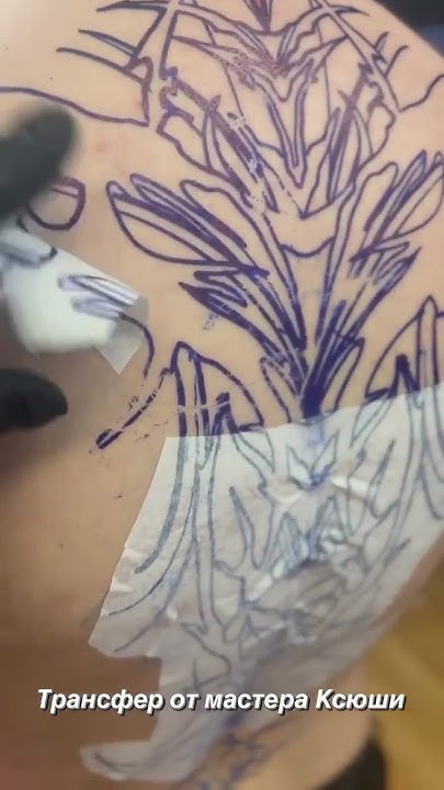Тату трансфер на спине #тату #tattoo - YouTube