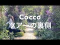「プロムツアーの裏側総まとめ」COCCO CHANNEL