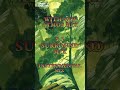 YES - FLY FROM HERE - RETURN TRIP - OUT NOW