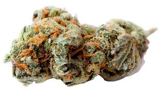 Does The Weed Industry Have A Race Problem