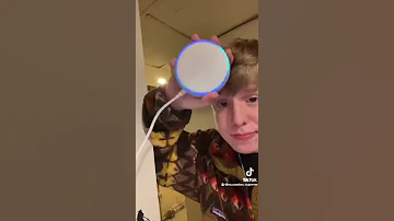 Hey Alexa, play "Fellas" in Paris [TikTok Memes]