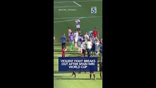 Violent fight breaks out after Spain win World Cup