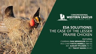 ESA Solutions: The Case of the Lesser Prairie Chicken