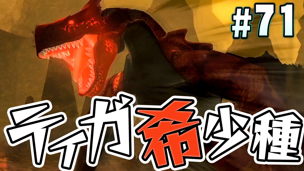 【希少】モンスターハンター　ティガレックス　パーカー　モンハン 画像ギャラリー No.003 | 「モンハンライダーズ」，“第10回 夢幻