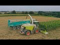 Ensilage de mas   claas jaguar  960 orbis 750  fendt 930  rollspeed  eta geinguene