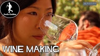 Wine Making and Tasting - Santanastasia vineyard - Sicily