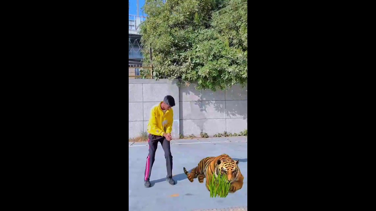 Tiger ने चिंटू को खा गया 😥~ mini wood - woodworking  art skills/handcrafts /