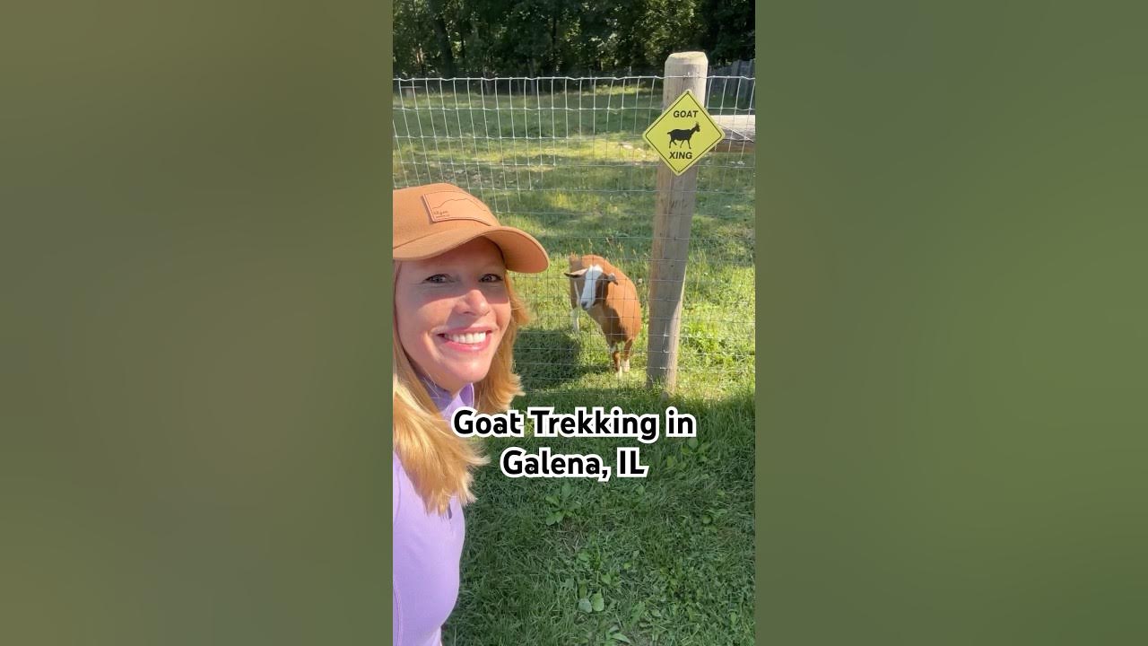 Hidden Gem Hiking with goats at Hoof it Goat Treks in Galena, IL 🐐🌟 