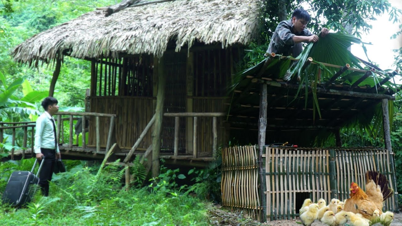 Генеральный директор уехал из города в лес. Построил курятник. Начинил побеги бамбука фаршем.