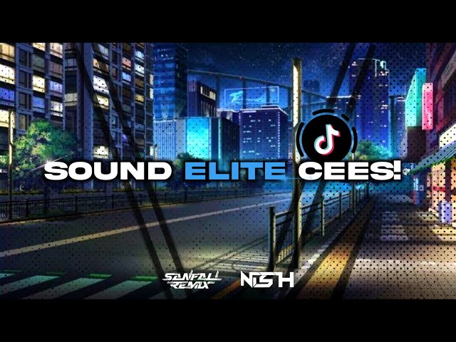 SOUND ELITE CEES - SANFALL REMIX Feat. @DanishRMX class=