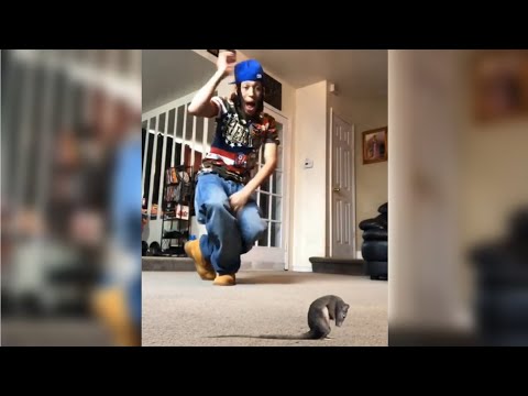 Oh shit a rat but edited like Monogatari series