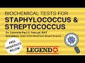 Biochemical Tests for Staphylococcus & Streptococcus | Legend Review Center