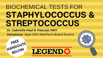 Biochemical Tests for Staphylococcus & Streptococcus | Legend Review Center