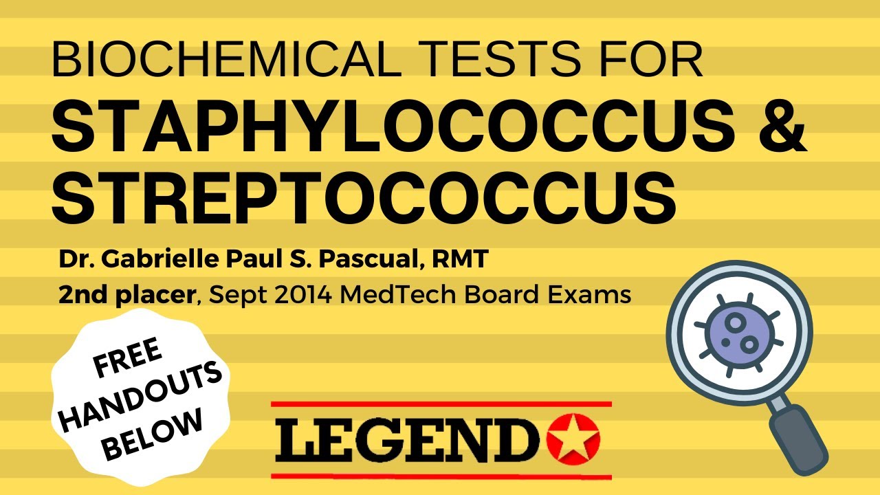 Biochemical Tests for Staphylococcus \u0026 Streptococcus | Legend Review Center