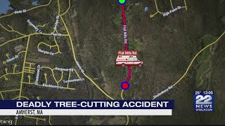 Man killed in tree cutting accident in Amherst identified