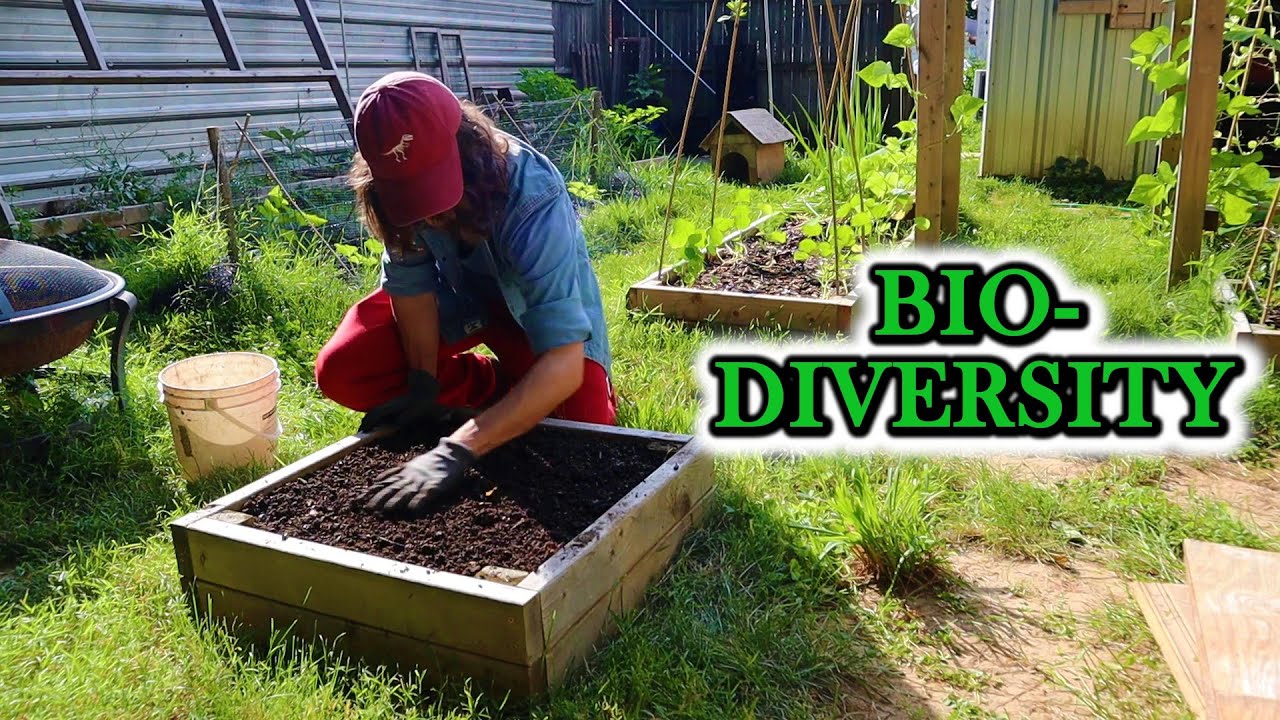 WHAT Are We Adding To Our RAISED BEDS? YOU CAN'T BUY THIS STUFF! YouTube