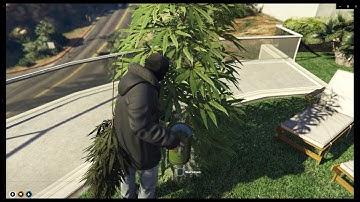 FiveM Showcase | Strain Weed Rep System / Cornering / Weed Runs