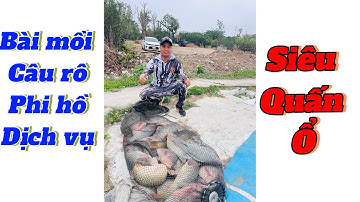 Bài mồi câu rô phi dịch vụ siêu quấn ổ ( Hương liệu Đại Phi F1)