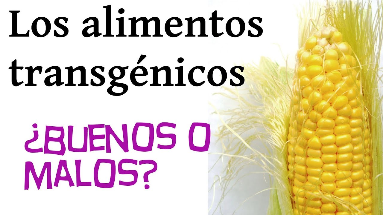 Que alimentos son buenos para el pelo