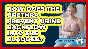 How Does The Urethra Prevent Urine Backflow Into The Bladder? - Bladder Health Support
