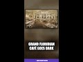 Grand Floridian Café Closing JULY 20 — Last Chance to Eat There #Shorts #DisneyWorld